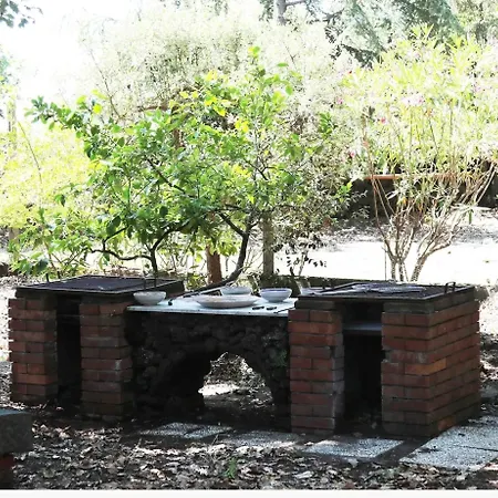 Charming With Terrace In Lavinaio - 32 M²