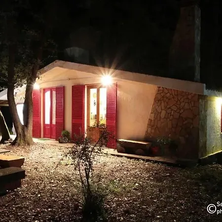 Charming With Terrace In Lavinaio - 32 M² * Fleri
